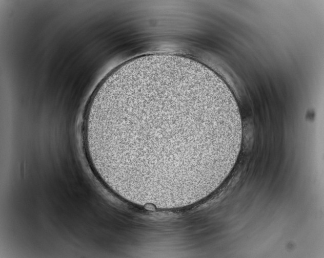 X0000103441091200810241116