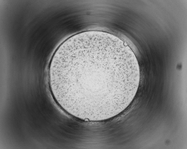 X0000103441092200810241116