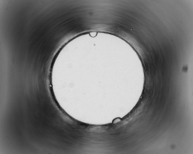 X0000103441093200810241116