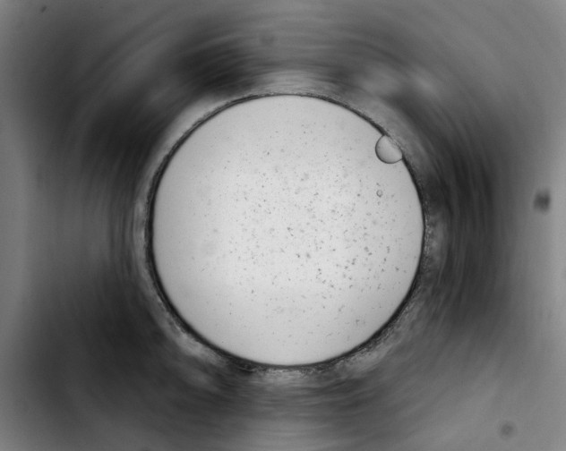 X0000103441094200810241116