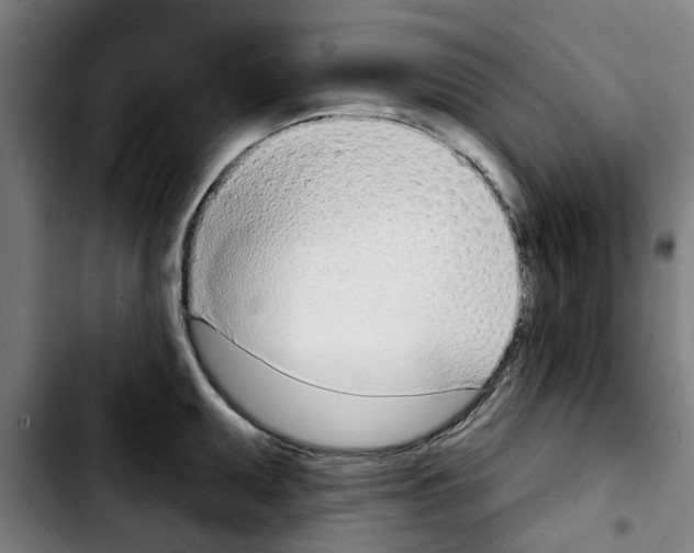X0000103441095200810241116