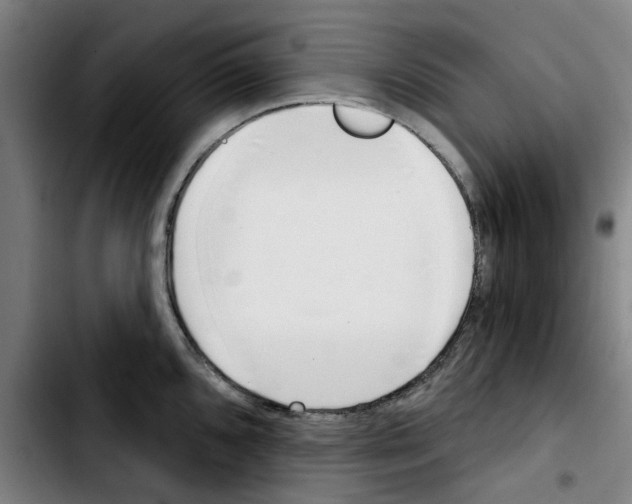 X0000103441096200810241116