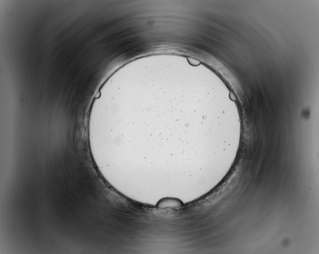 X0000103441097200810241116