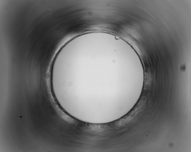 X0000103441098200810241116