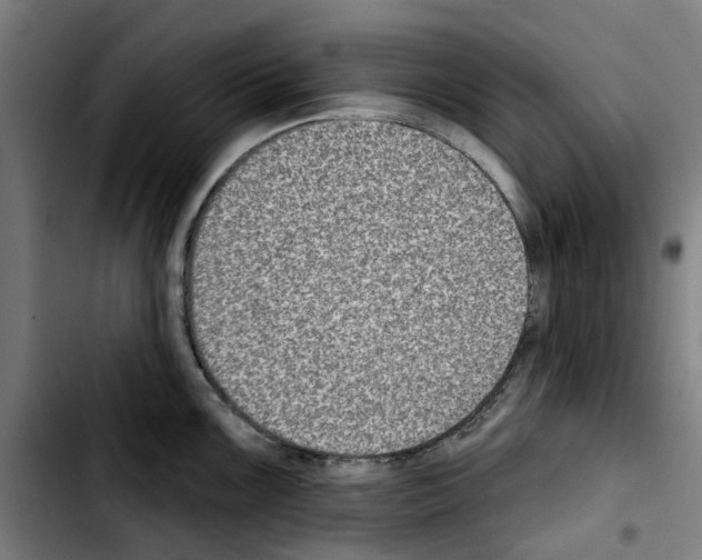 X0000103441099200810241116