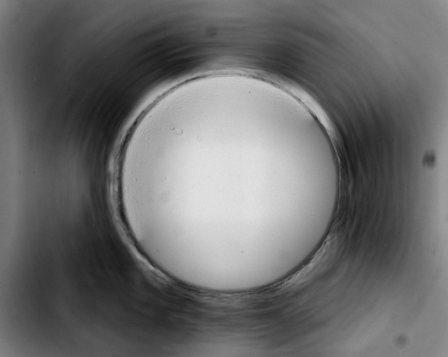 X0000103441101200810241116