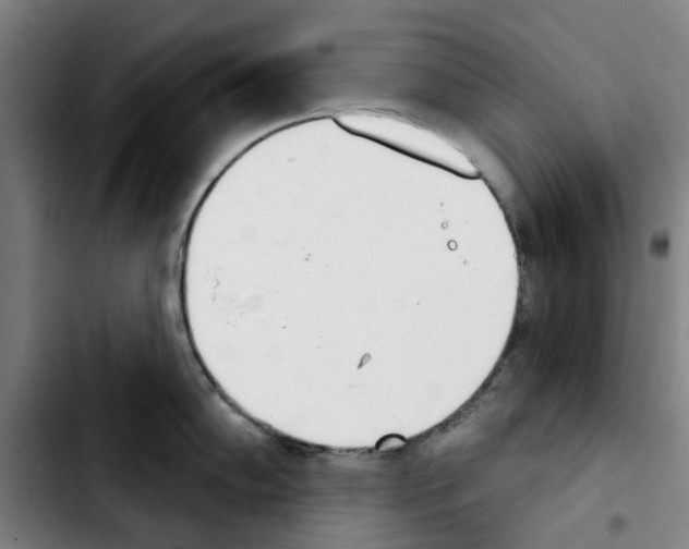 X0000103441102200810241116