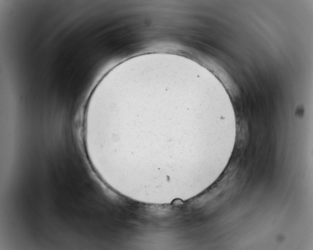 X0000103441103200810241116