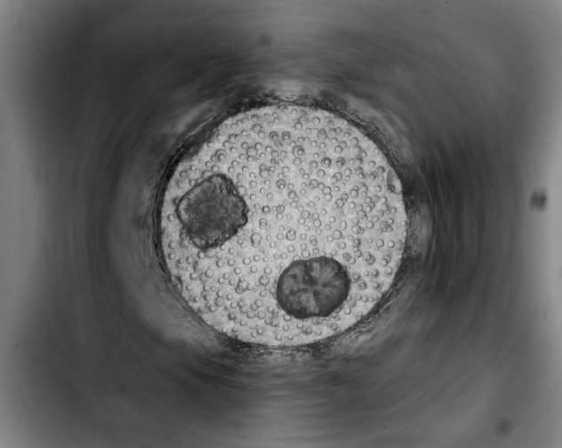 X0000103441105200810241115