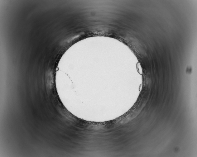 X0000103441106200810241115