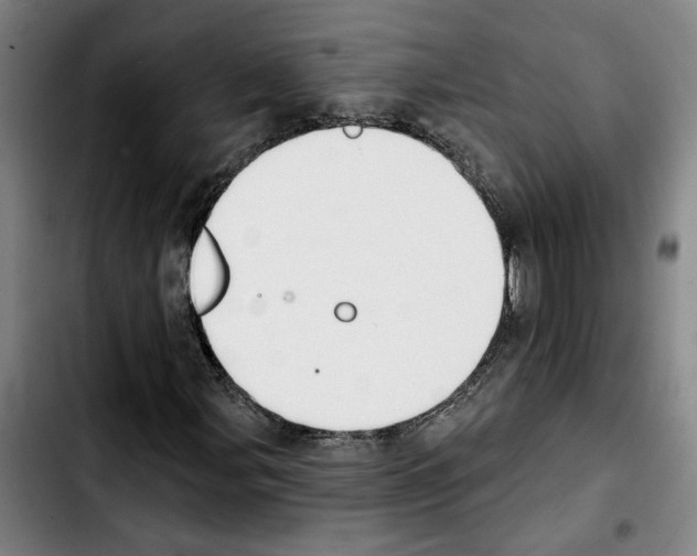 X0000103441107200810241115