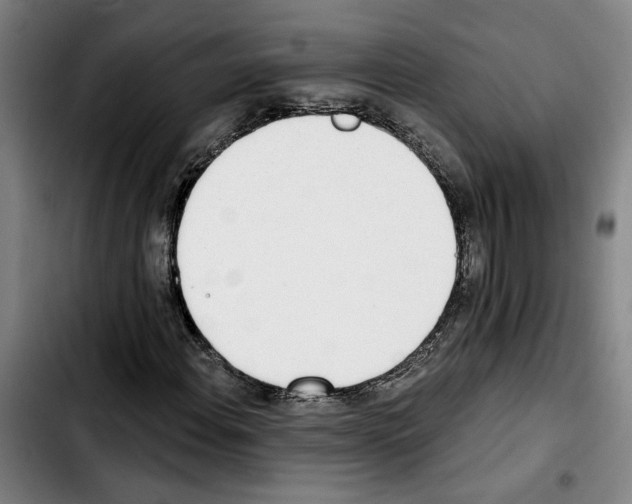 X0000103441108200810241115