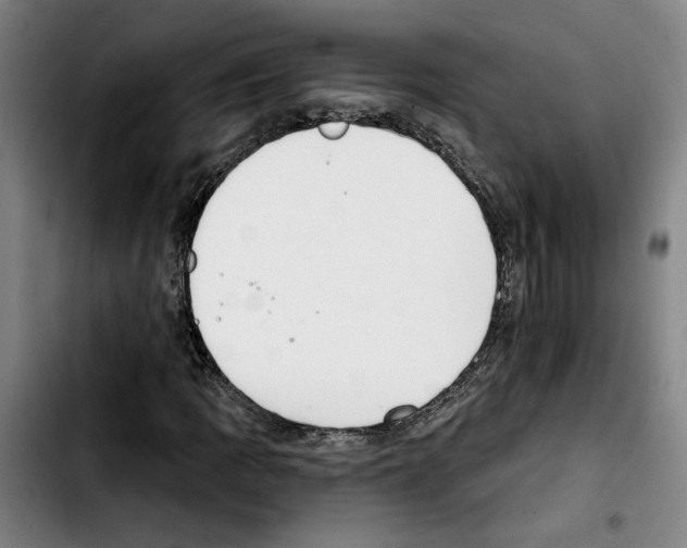 X0000103441109200810241115