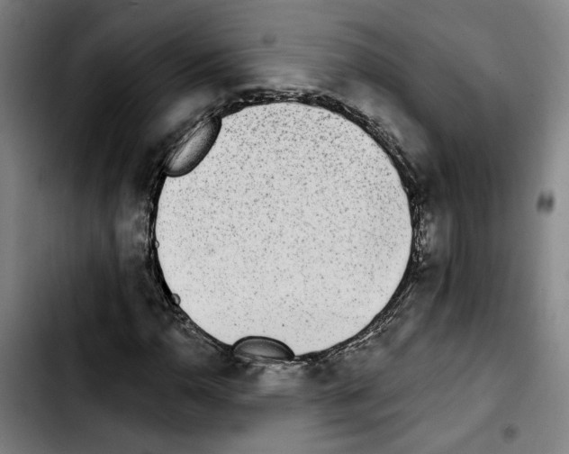 X0000103441110200810241115