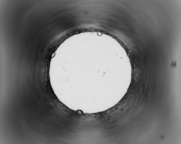 X0000103441111200810241115