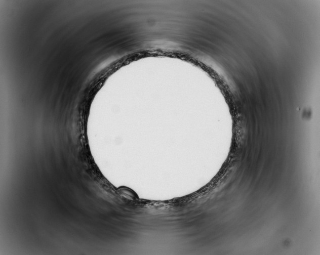 X0000103441112200810241115
