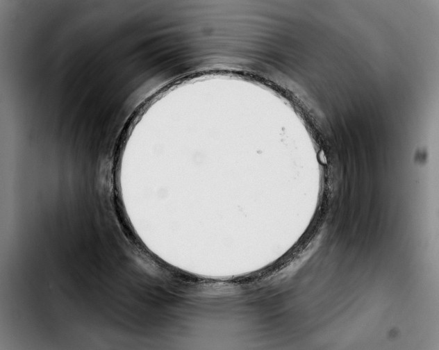X0000103441113200810241115
