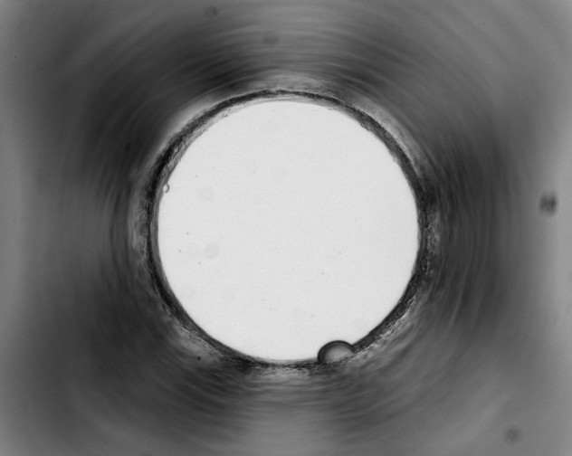 X0000103441115200810241115