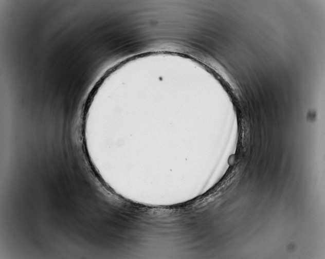 X0000103441116200810241115