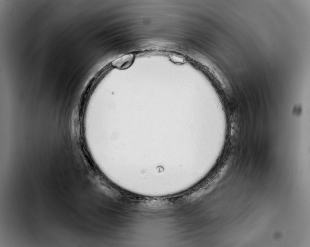 X0000103441117200810241115