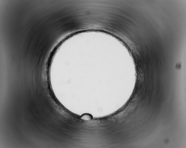 X0000103441118200810241115