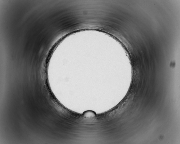 X0000103441119200810241115