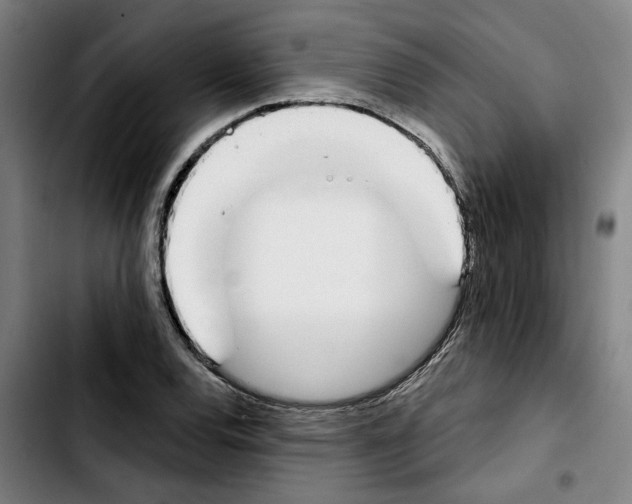 X0000103441120200810241115