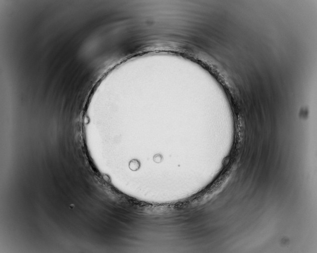 X0000103441121200810241115