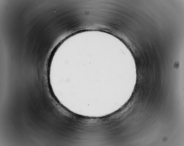 X0000103441122200810241115