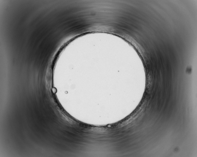 X0000103441123200810241115