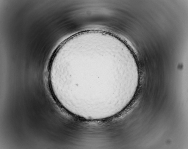 X0000103441125200810241115