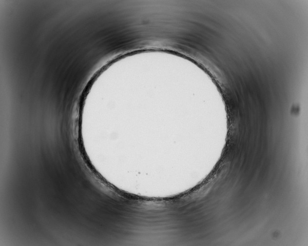 X0000103441126200810241115
