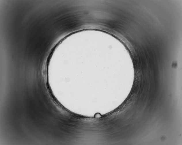 X0000103441127200810241115