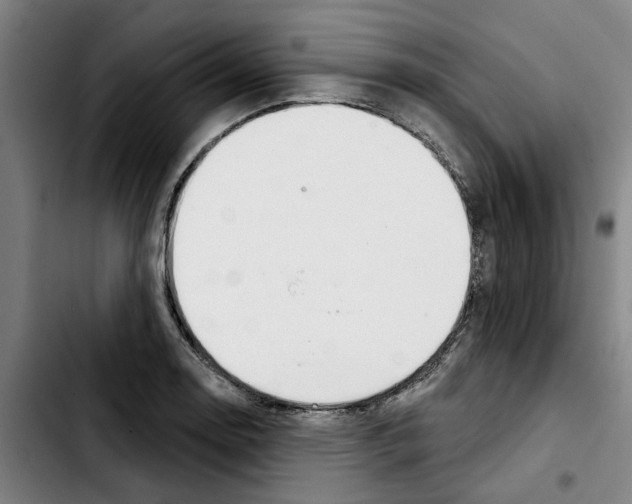 X0000103441130200810241115