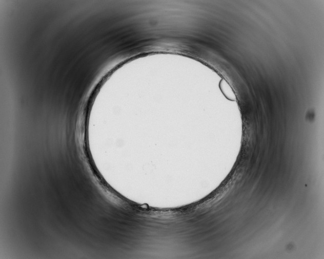 X0000103441131200810241115