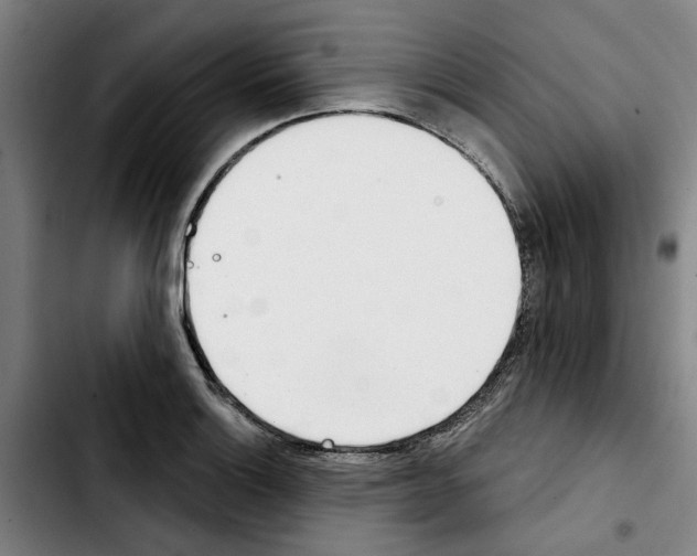 X0000103441132200810241115