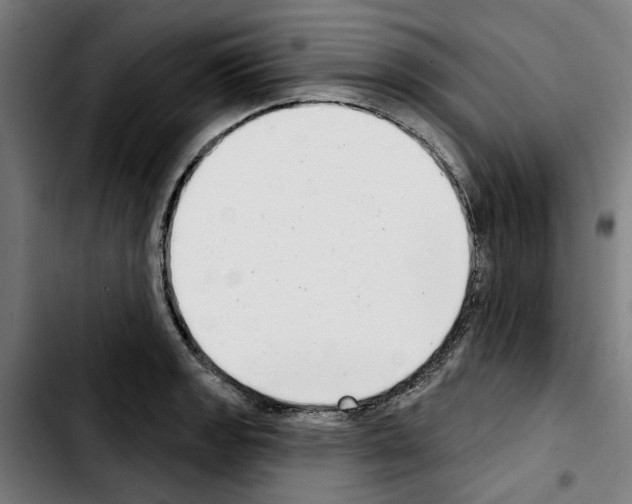 X0000103441133200810241115