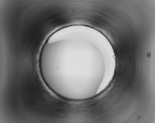 X0000103441134200810241115