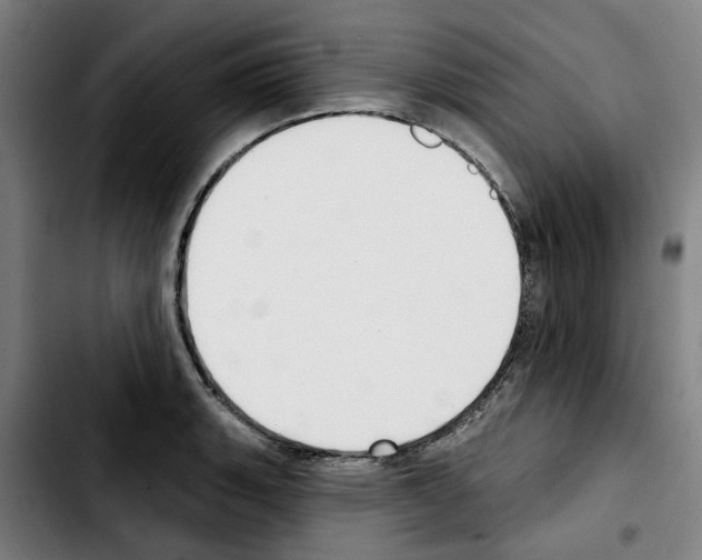 X0000103441135200810241115
