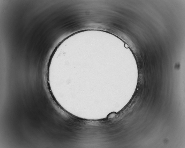 X0000103441136200810241115