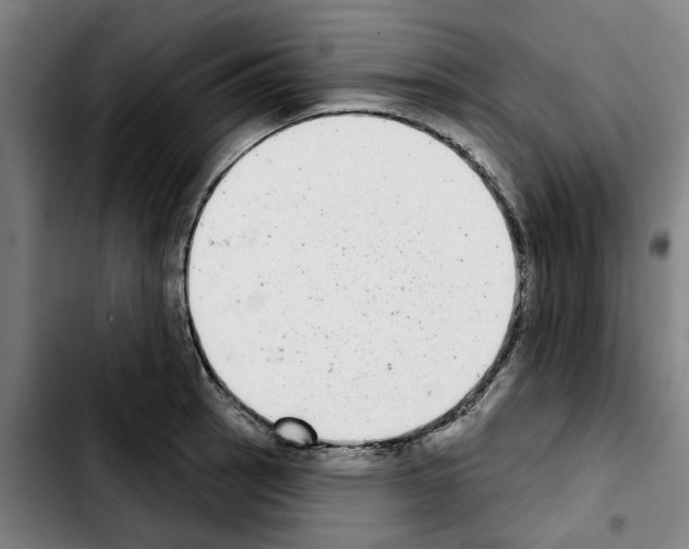X0000103441137200810241115