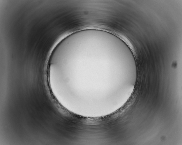 X0000103441138200810241115