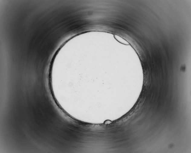 X0000103441139200810241115
