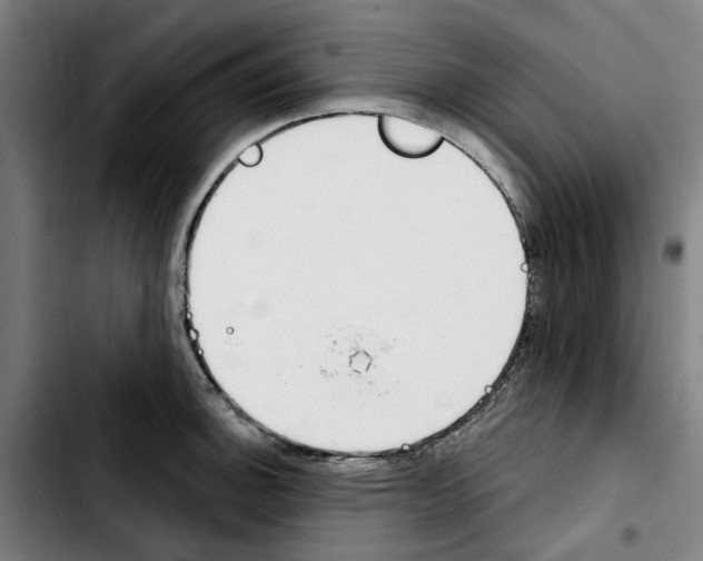 X0000103441140200810241115