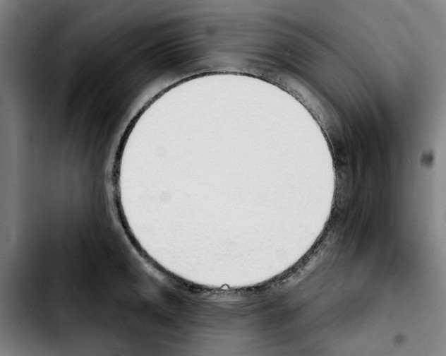 X0000103441141200810241115