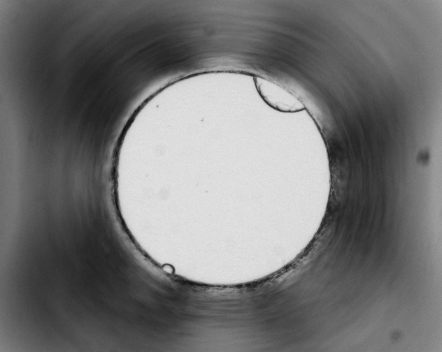 X0000103441142200810241115