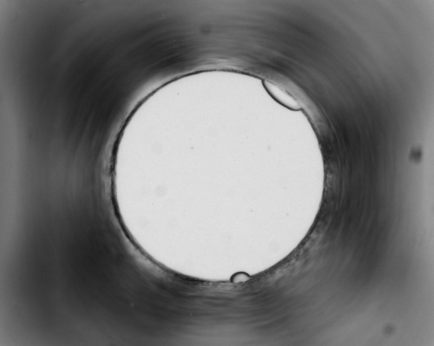 X0000103441143200810241116