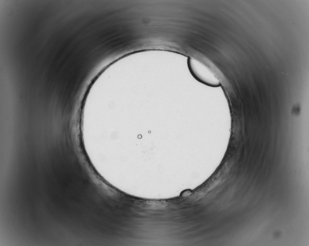 X0000103441144200810241116
