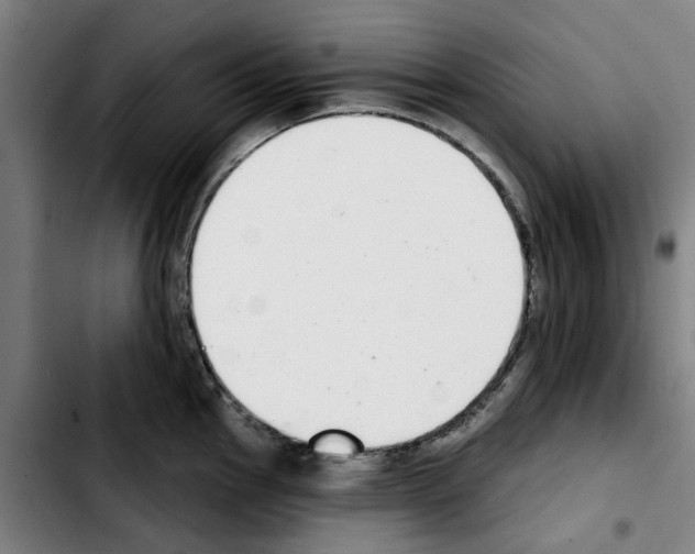 X0000103441145200810241116