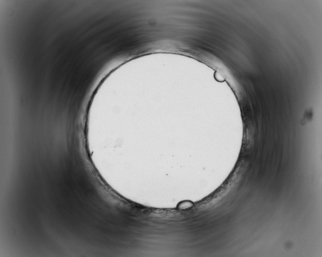 X0000103441146200810241116